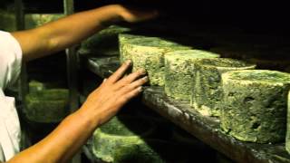 Cabrales-Käse