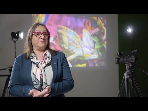 Beneficios Educativos