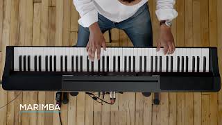 Alesis Prestige Artist - Video