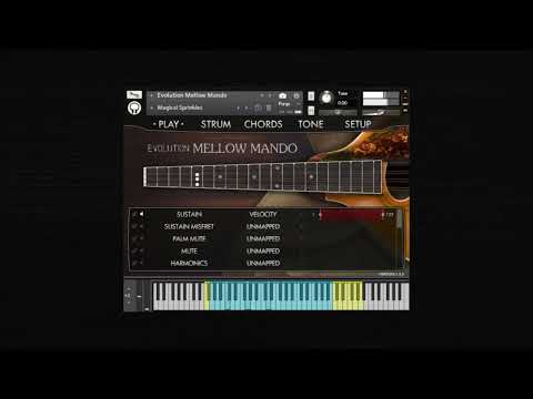 Video for Evolution Mellow Mando - Overview & Preset Demo