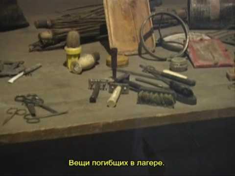 Йосеф Нойхауз – быть узником в Аушвице